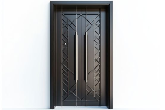 steel door1